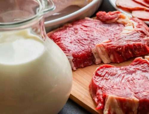 AGRO – Garzón sigue obsesionado con la ganadería: Insiste en que hay que comer menos carne y ahora le ha añadido los lácteos