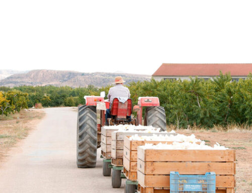 AGRO – Los agricultores y ganaderos españoles podrán recibir hasta 3.386 millones en pagos anticipados de la PAC a partir del 16 de octubre