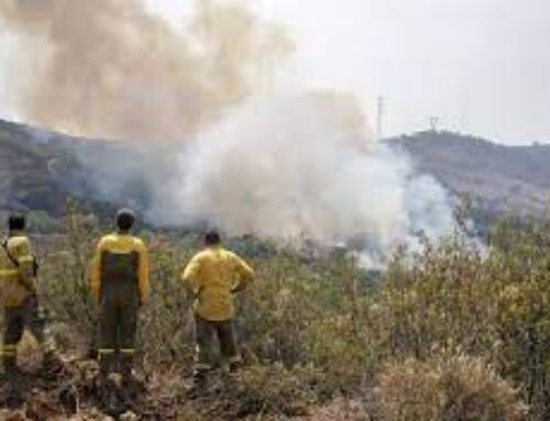 TERRITORIO – El INFOEX interviene en 15 incendios forestales durante la última semana