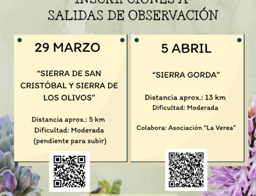 IV Jornadas de las Orquídeas de Los Santos de Maimona